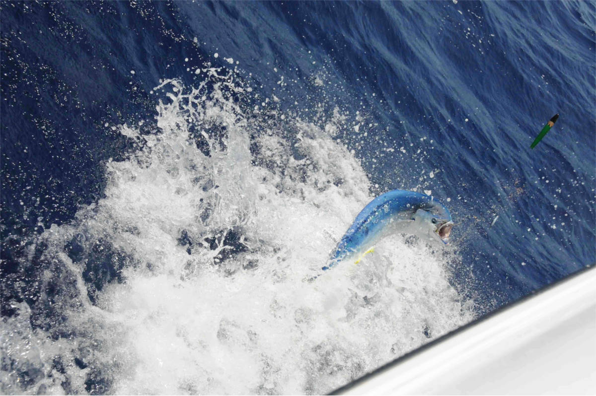 Fishing - Grander Marine