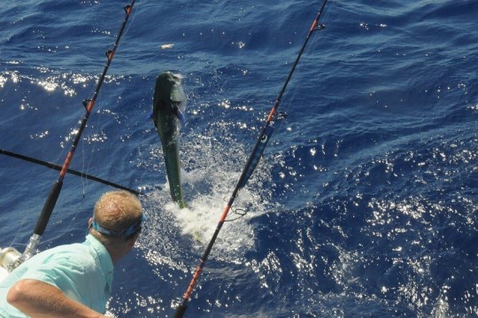 Fishing - Grander Marine