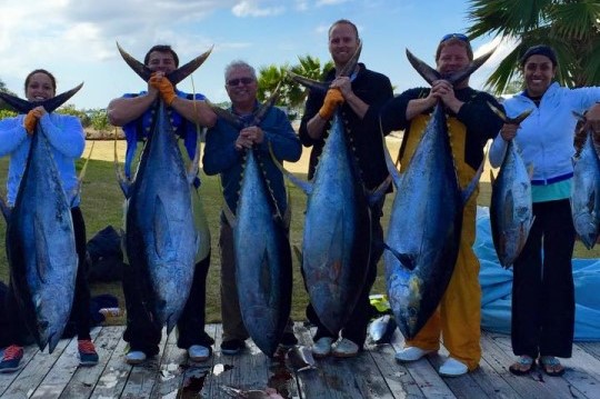 Fishing - Grander Marine